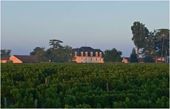 Chateau Guiraud